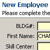 New Employee Wizard